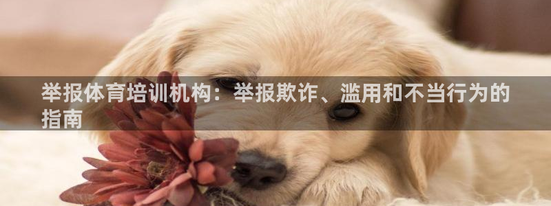 焦点娱乐门徒娱乐骗局：举报体育培训机构：举报欺诈、滥用和不当