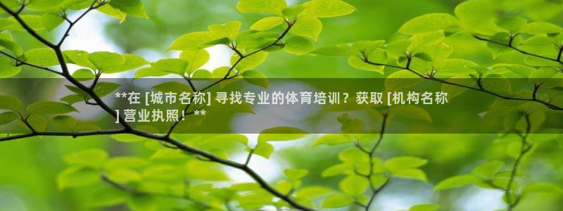 焦点娱乐官网下载安装手机版苹果：**在 [城市名称]
