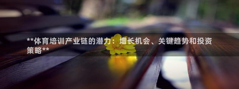 焦点娱乐公司简介图片：**体育培训产业链的潜力：增长机会、关