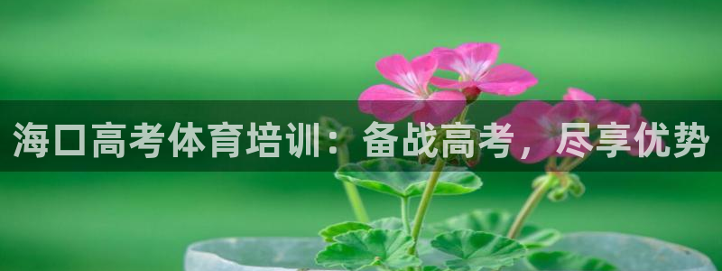 焦点娱乐app下载官网：海口高考体育培训：备战高考，