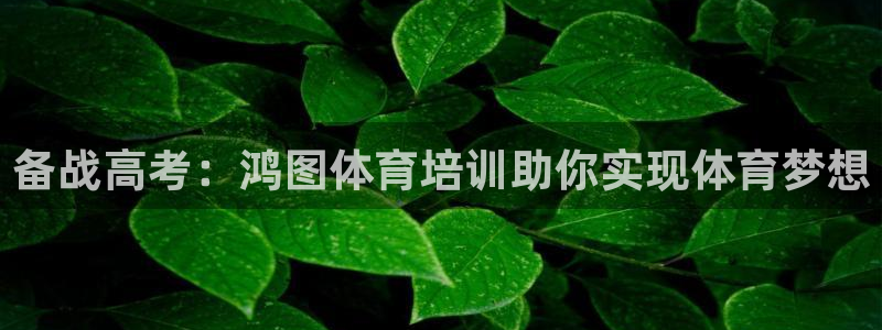 焦点娱乐app下载安装苹果：备战高考：鸿图体育培训助