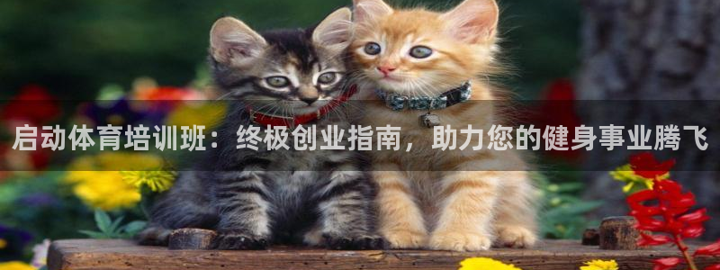 焦点娱乐平台总代理开户怎么样：启动体育培训班：终极创