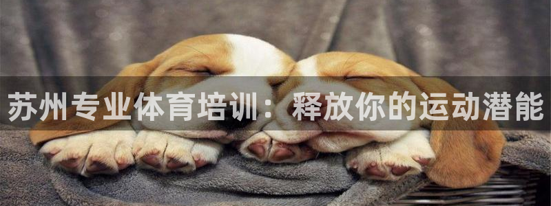 焦点娱乐总代理在哪：苏州专业体育培训：释放你的运动潜