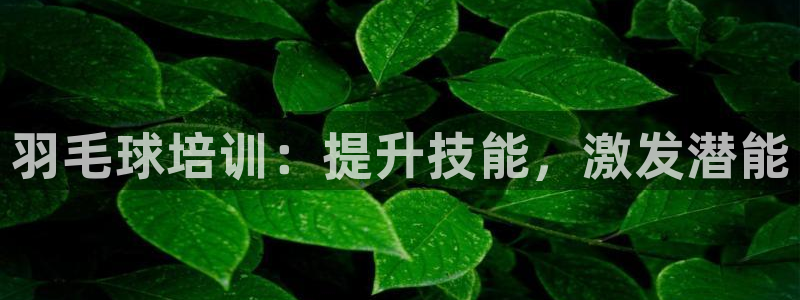 焦点娱乐官网首页入口网址：羽毛球培训：提升技能，激发