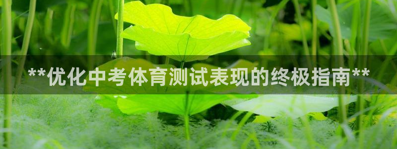 焦点娱乐星的视频：**优化中考体育测试表现的终极指南
