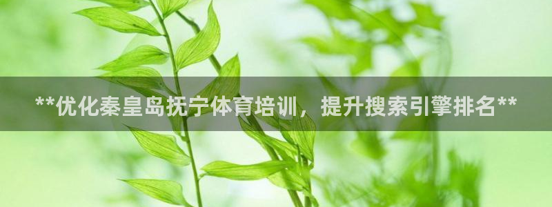 焦点娱乐官方网站首页下载手机版：**优化秦皇岛抚宁体