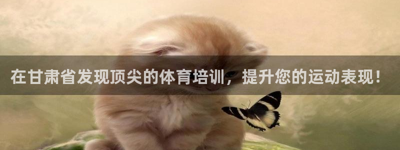 焦点娱乐官网首页下载：在甘肃省发现顶尖的体育培训，提