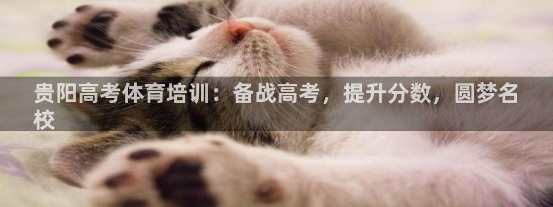 焦点娱乐官网下载安装最新版：贵阳高考体育培训：备战高