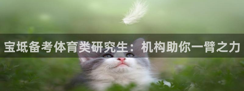 焦点娱乐app下载官网最新版苹果：宝坻备考体育类研究