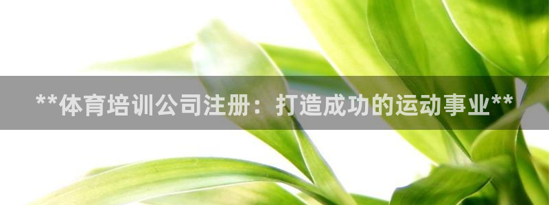 焦点娱乐直属：**体育培训公司注册：打造成功的运动事